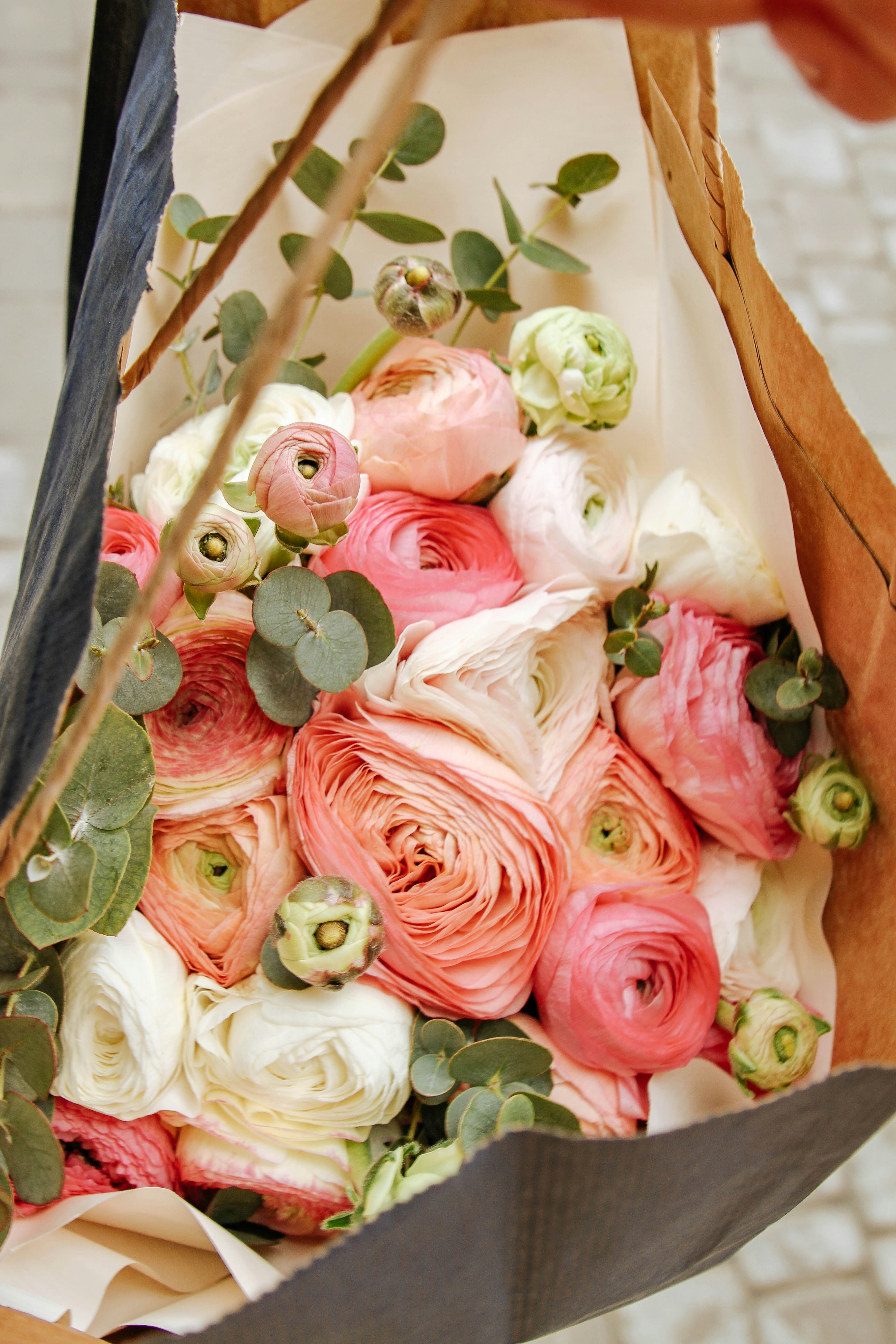 Close Up Photography Of White Petaled Flowers Photo Free Flower Image On Unsplash