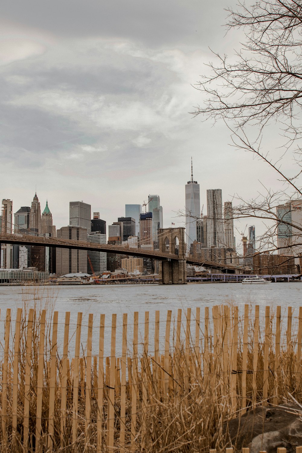 Brooklyn Bridge view from wooden fence and withered tree