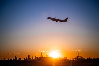 A sleek cargo plane soaring above a glowing sunset, symbolizing swift international connections.