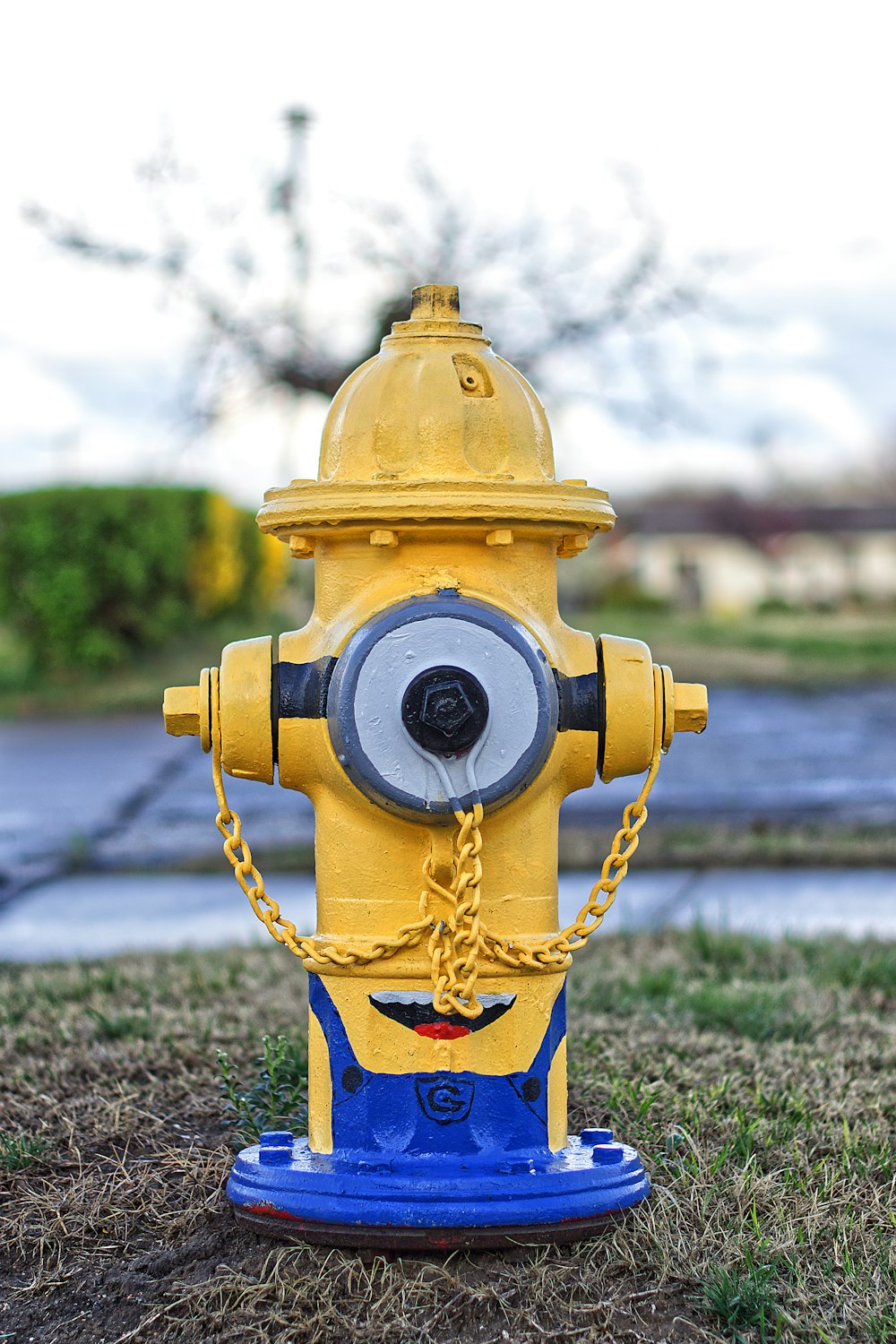 une borne d’incendie jaune et bleue assise dans l’herbe