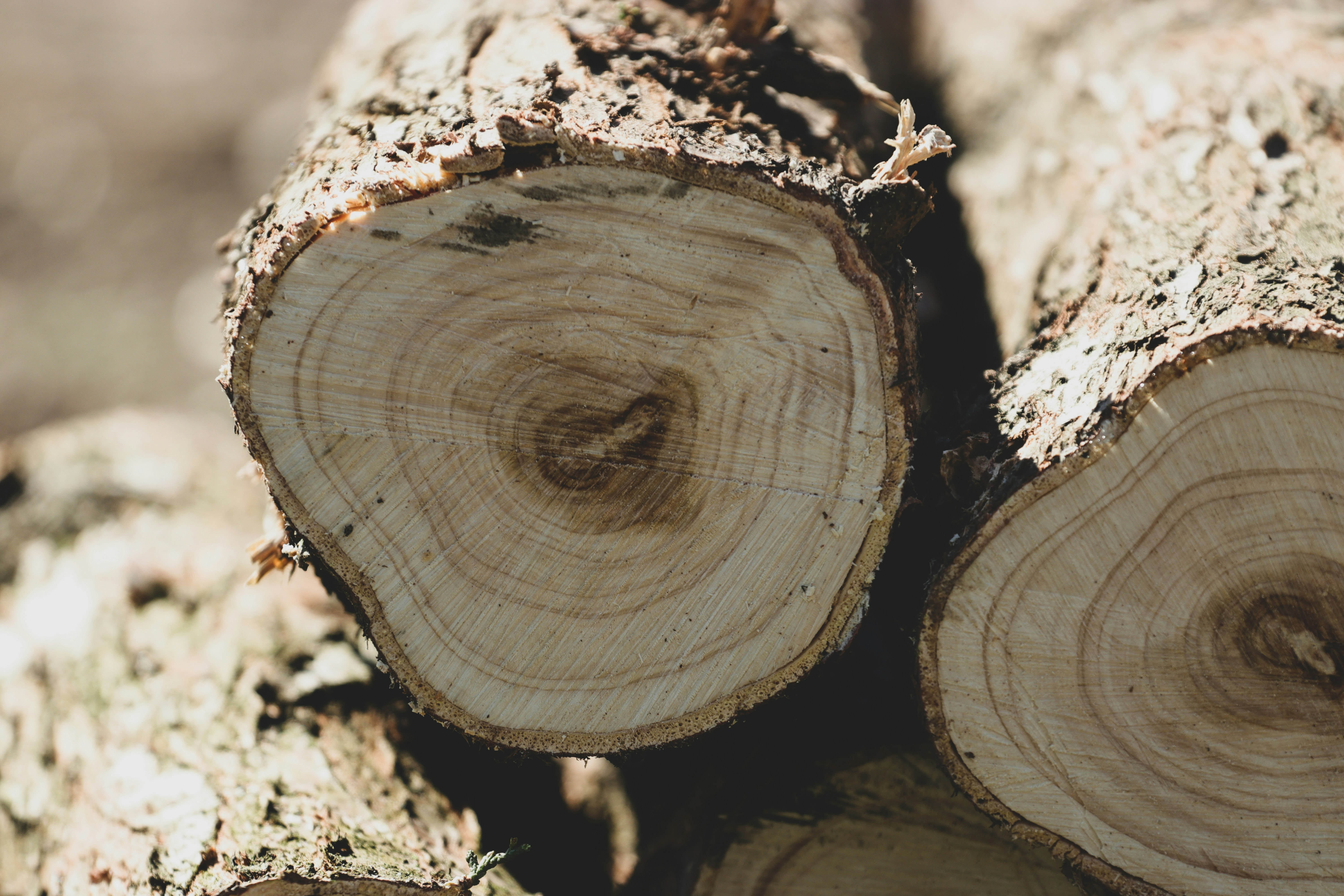 brown log log teams background