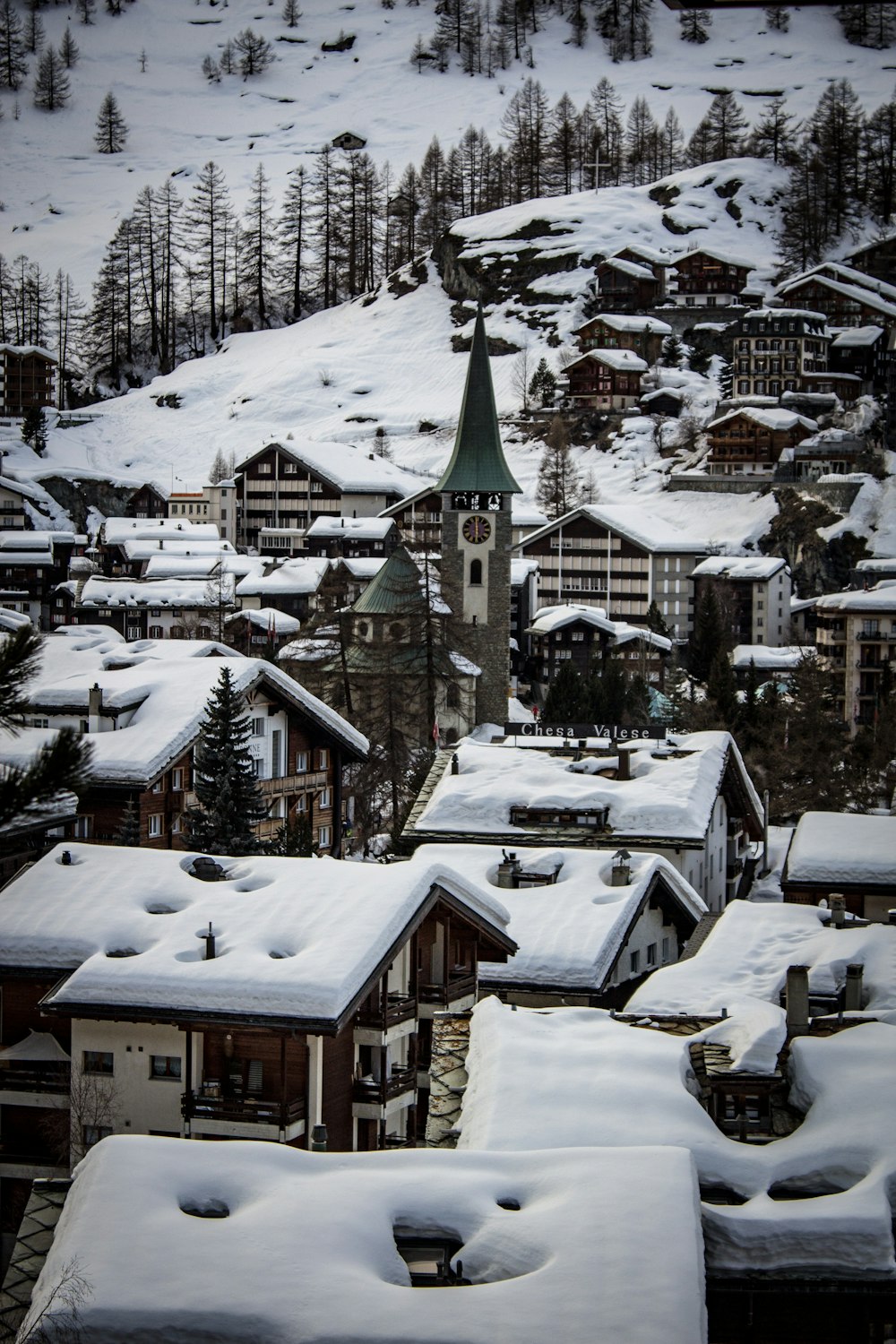 snow-covered houses and trees