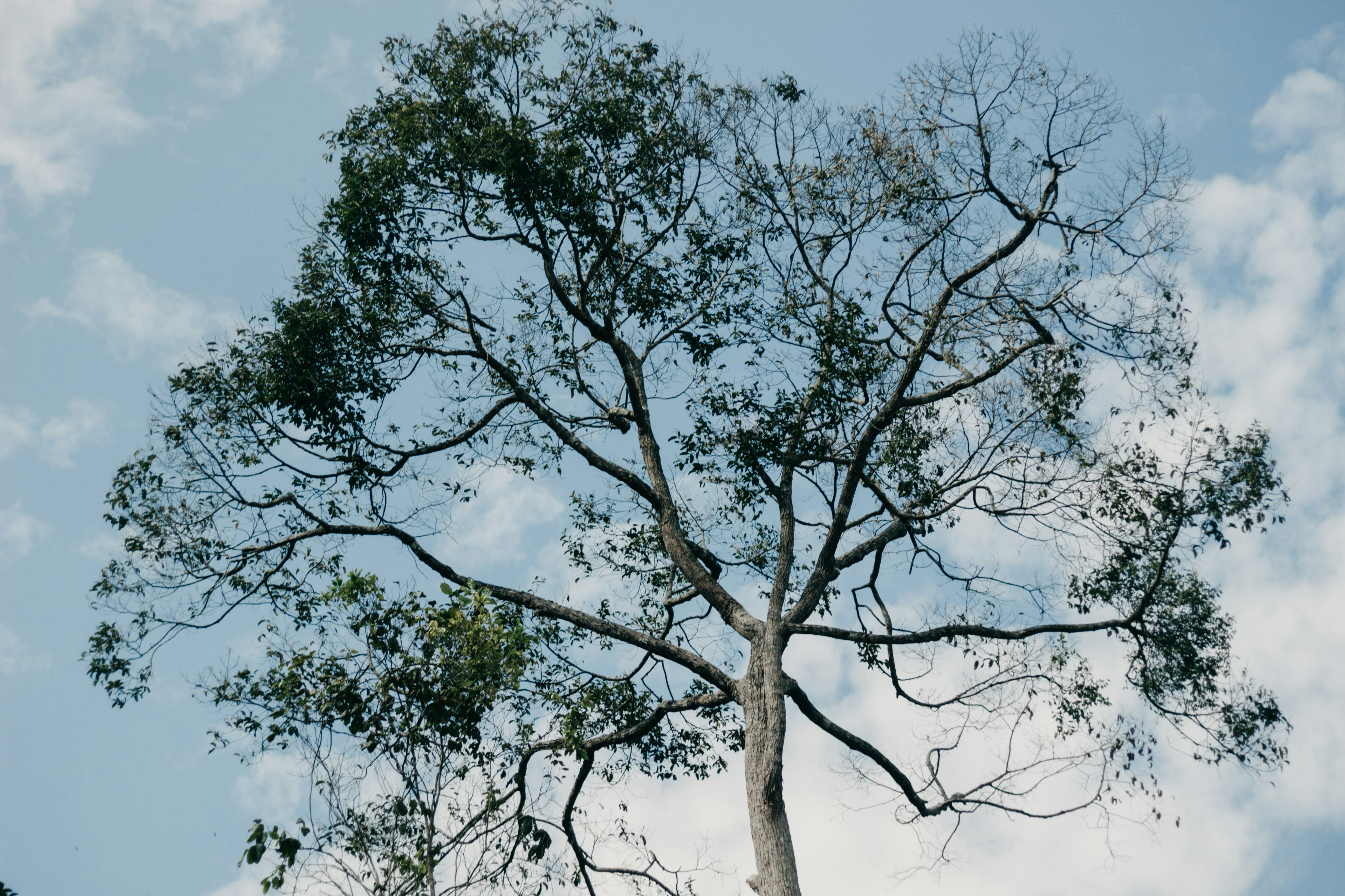 Photo by zubearasyraf