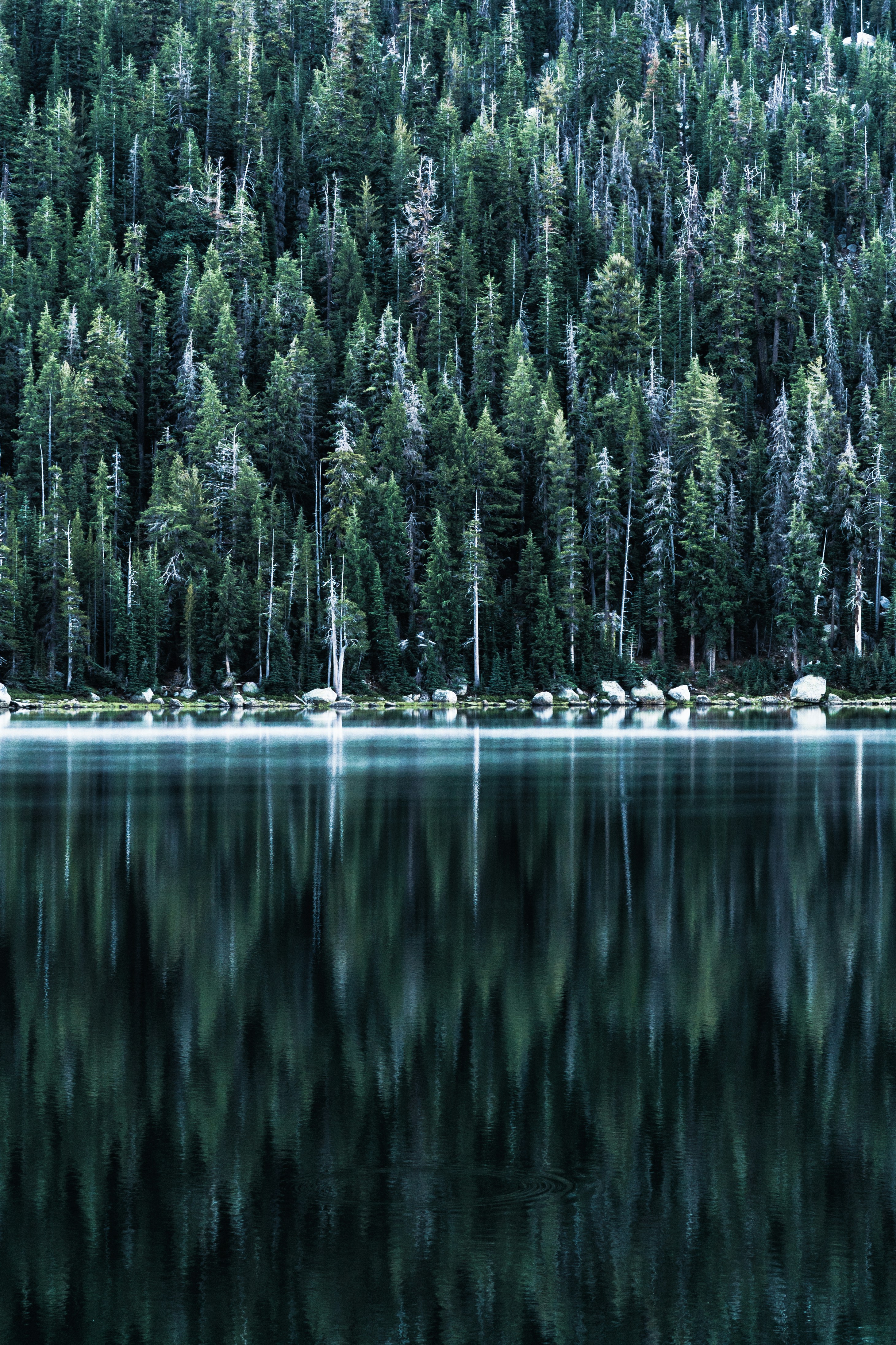 Photo by freezydreamin
