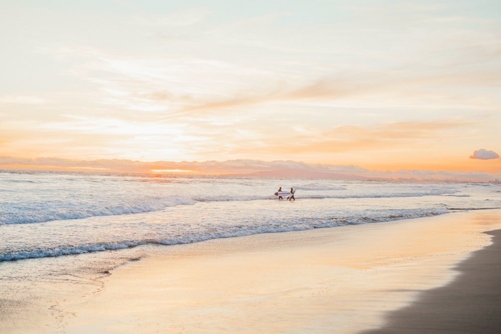 a couple of people walking along a beach next to the ocean