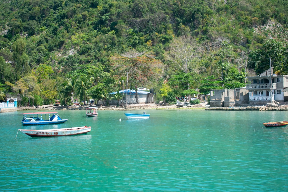 boats on body of water