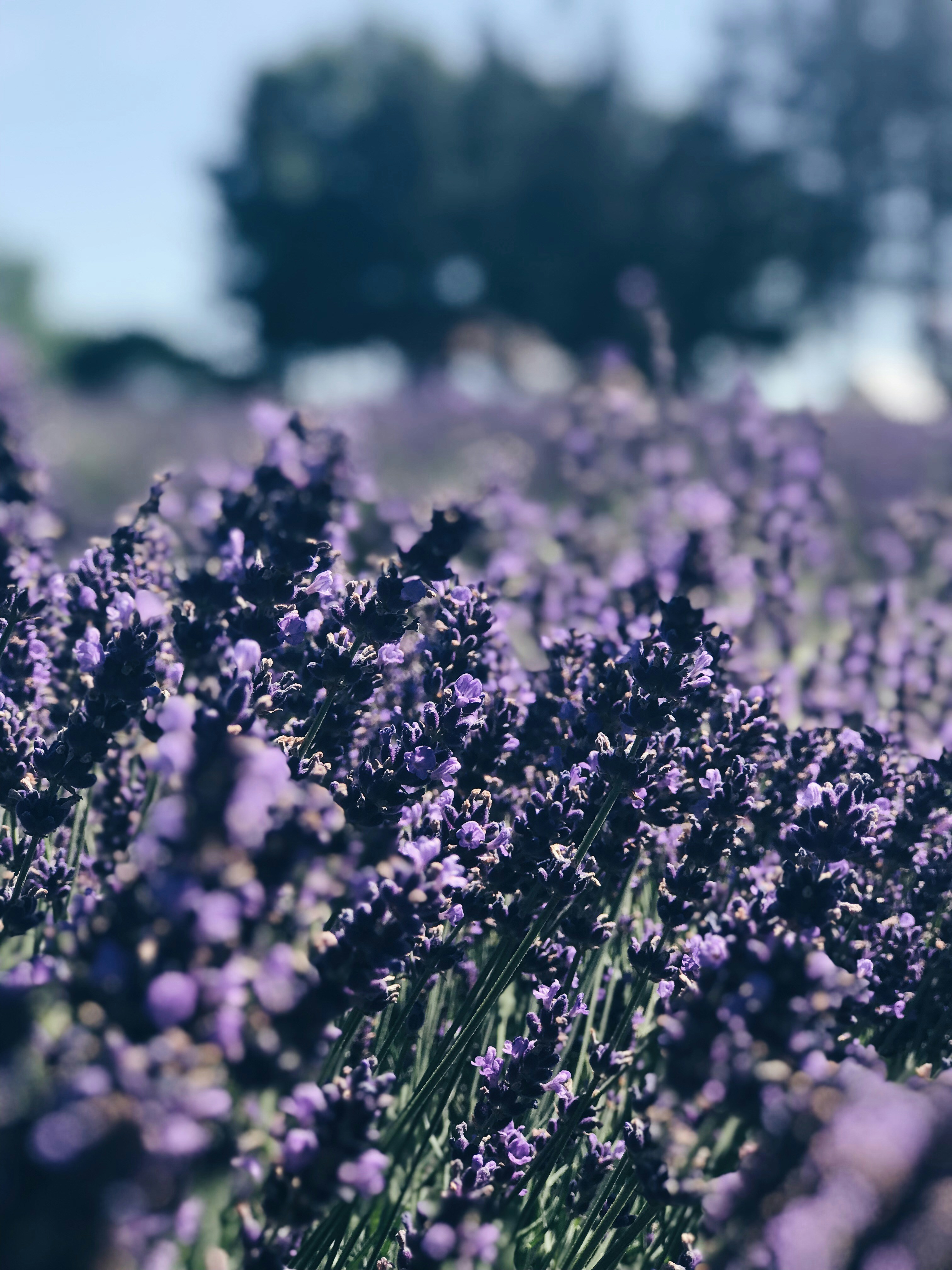 Photo by cloefontaine