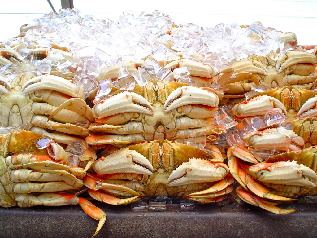 Lobster Tails Pack