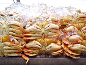 Blue Crab