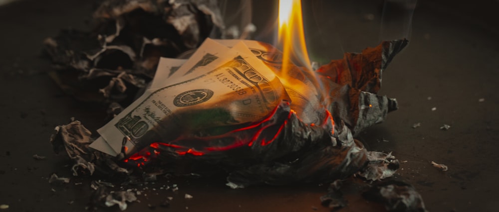 burning banknotes