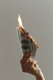 person holding lighted dollar bills