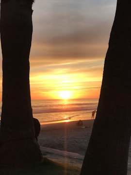 A picturesque sunset backdrop for wedding portraits.