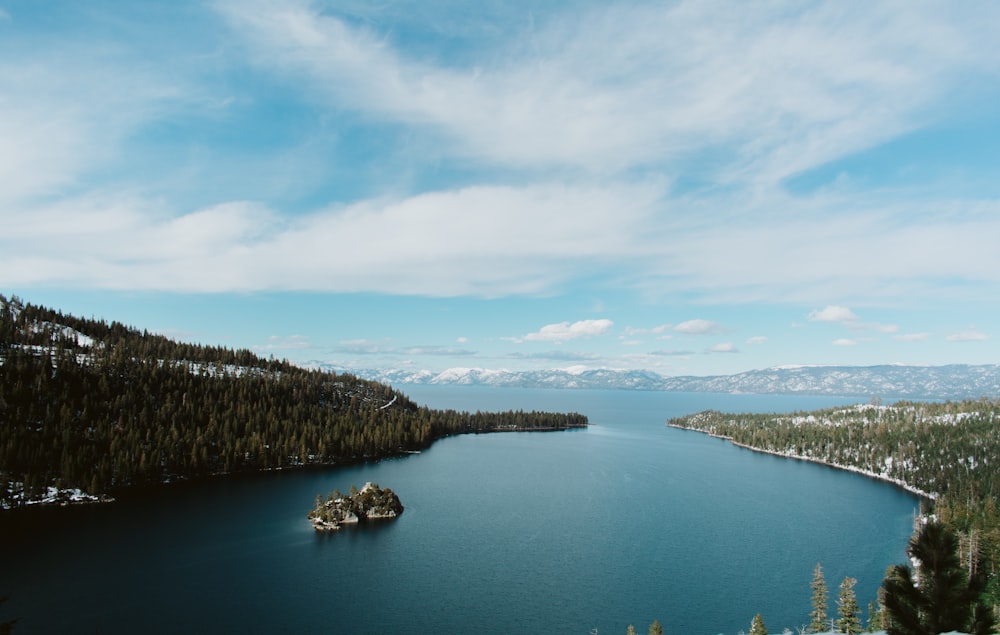 a large body of water surrounded by trees