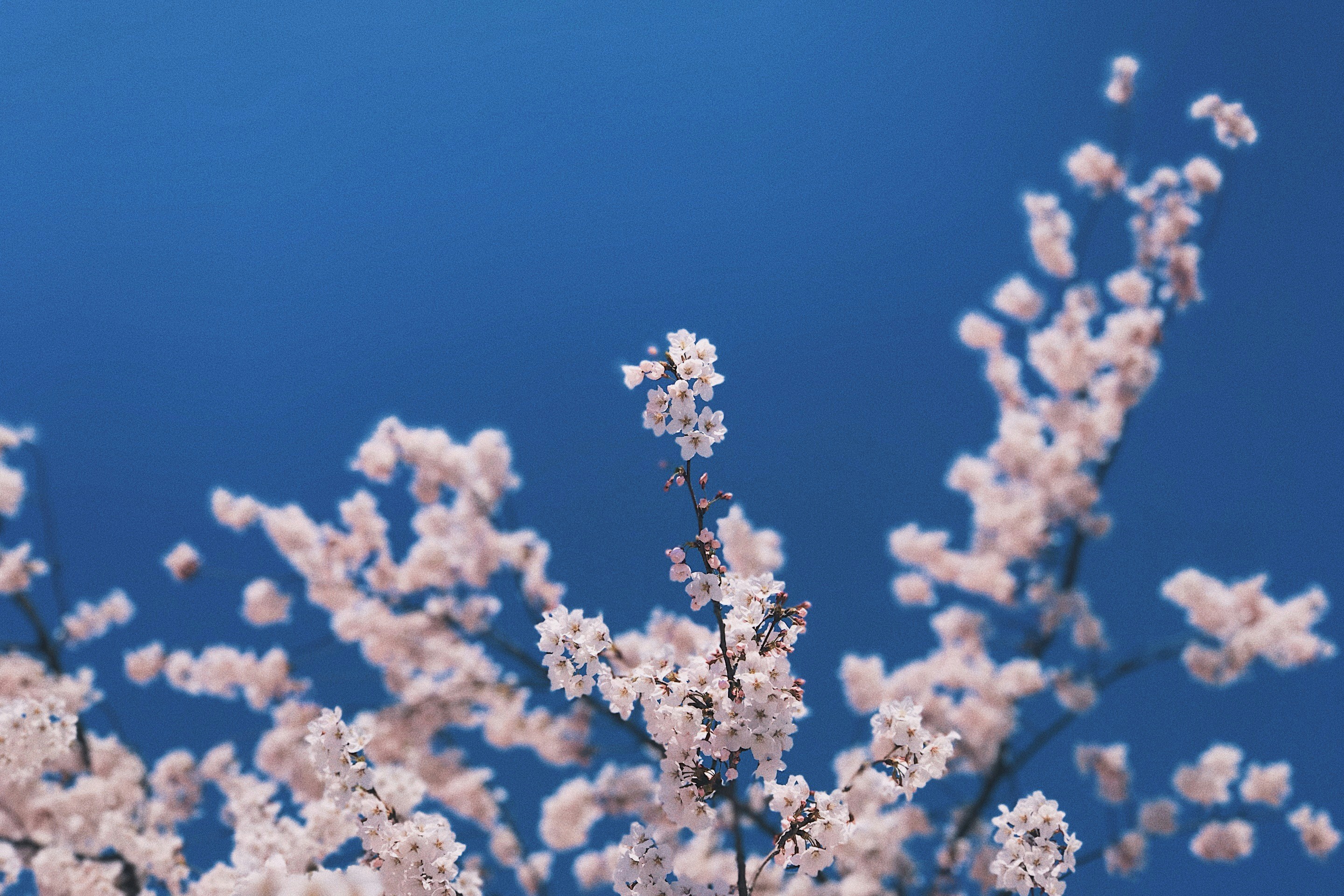 Photo by wiwiengan168