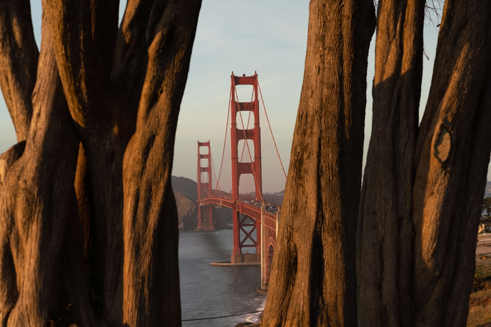 Golden Gate Bridge, San Francisco California