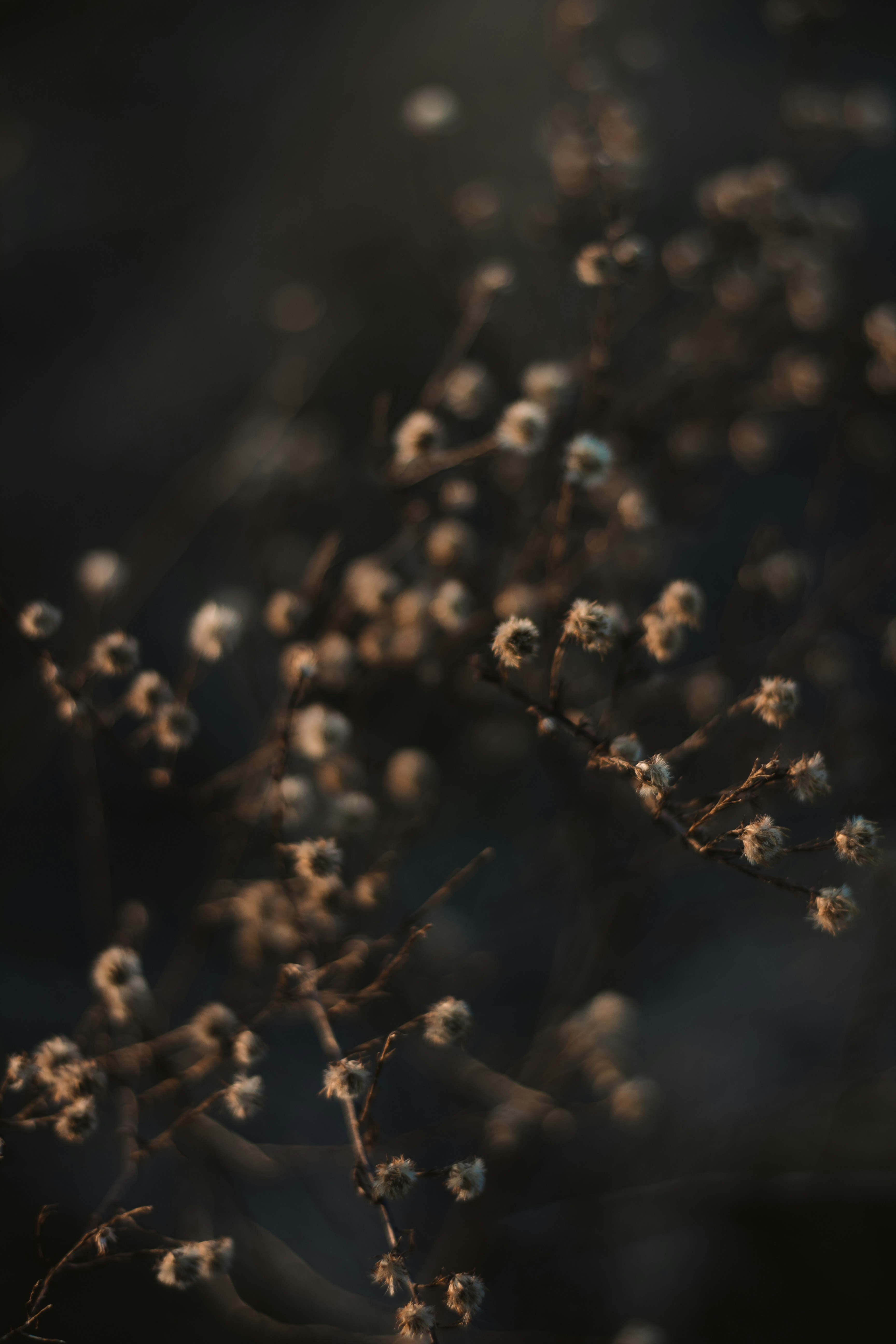 Photo by hayleymurrayphoto