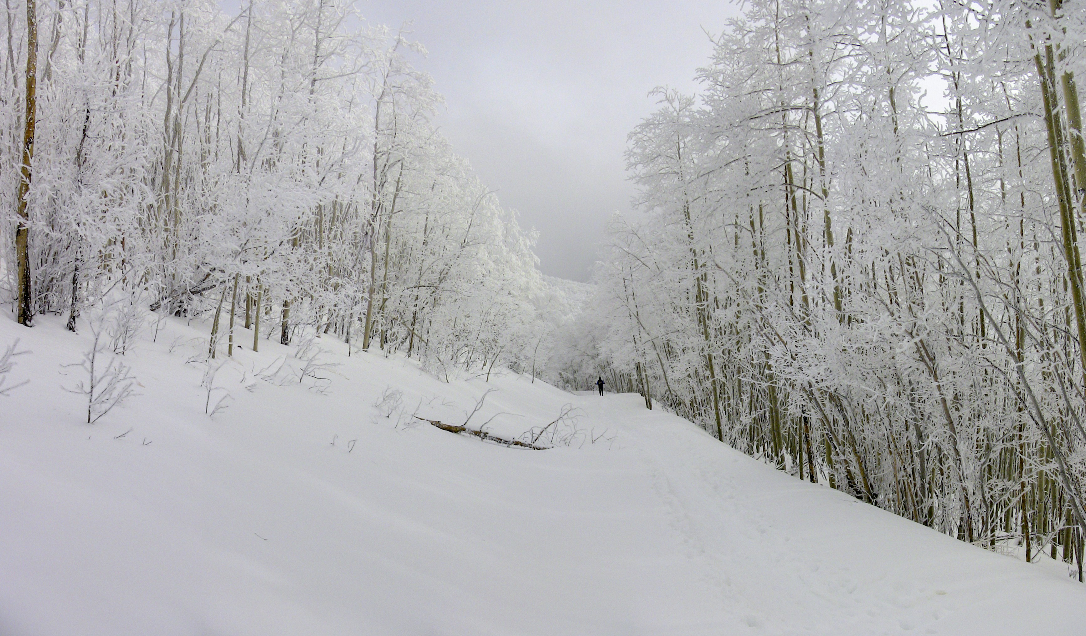 Photo by danielgregoire