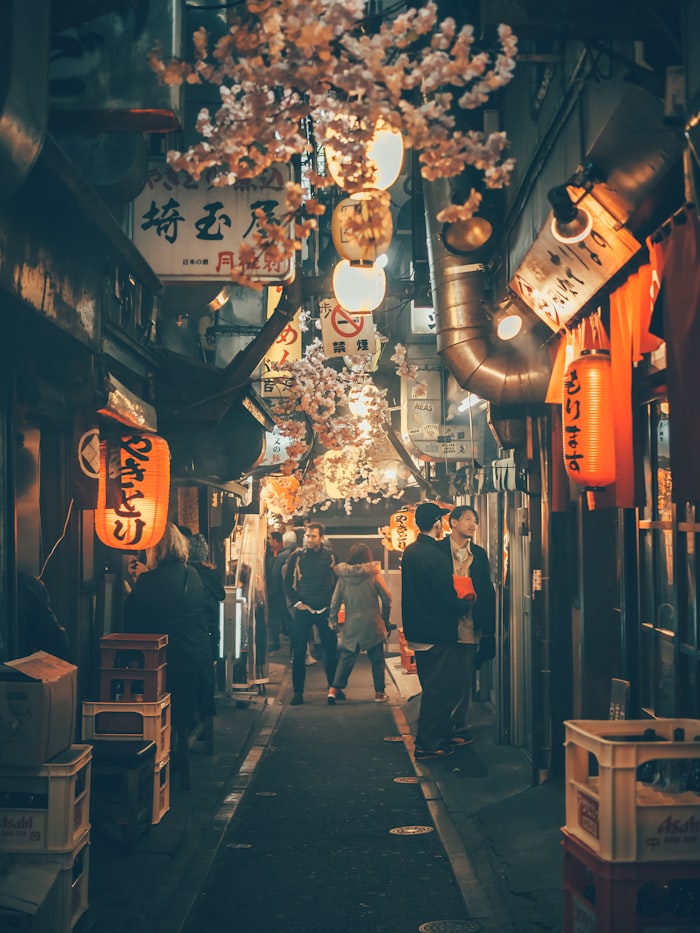 Izakaya Alleys