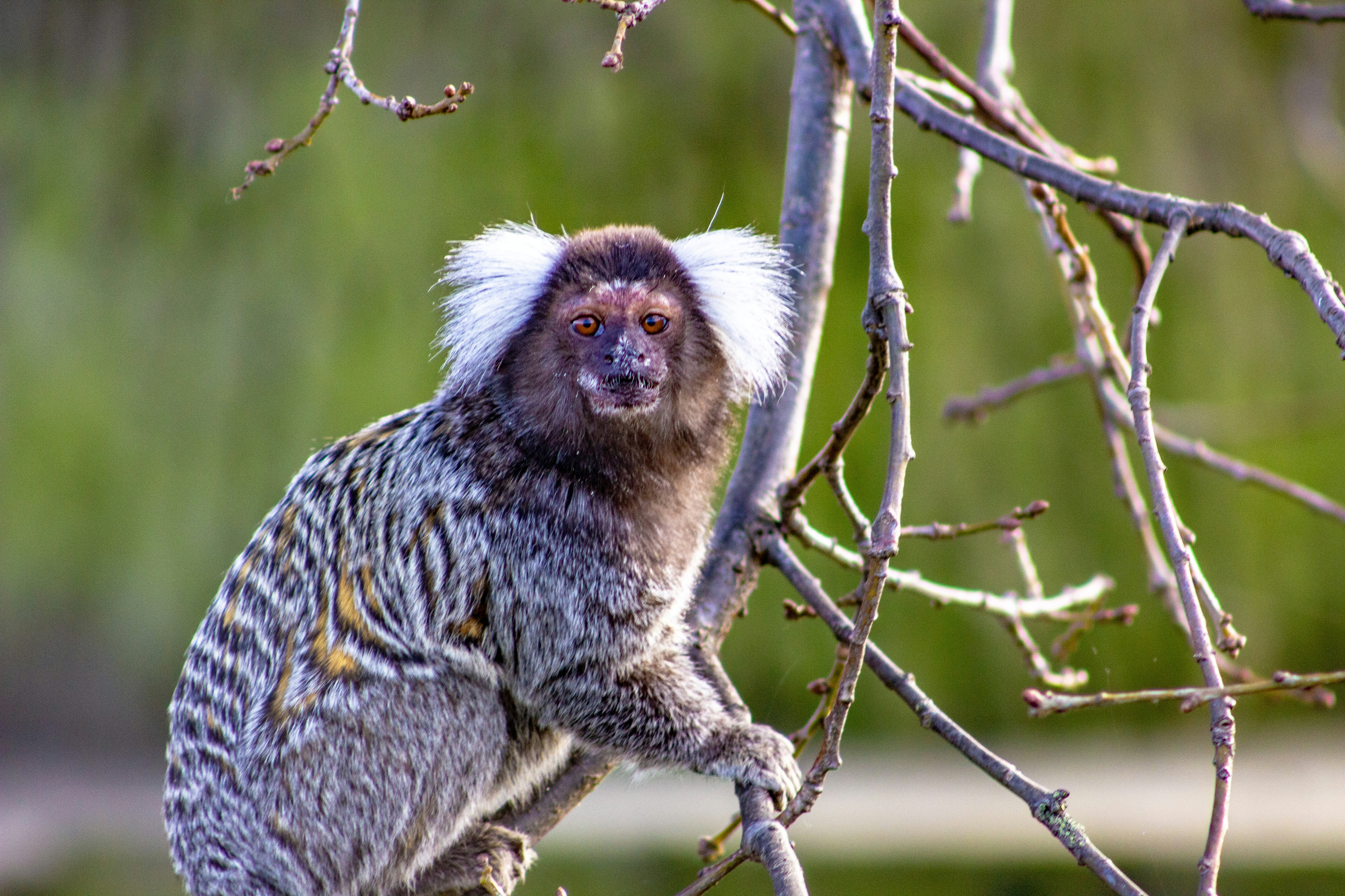 Photo by keepsakes_and_daydreams