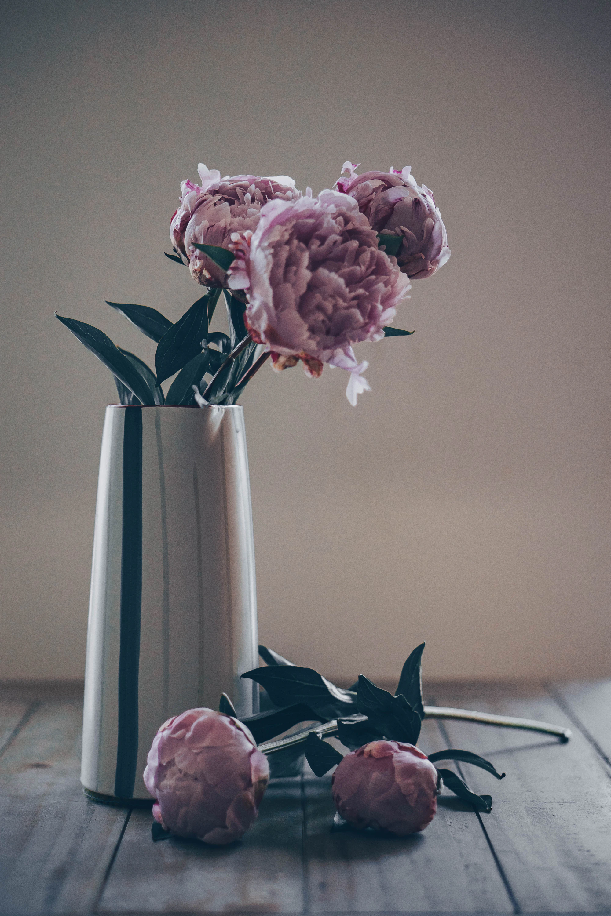 Soft pink peonies arranged in a clear glass vase