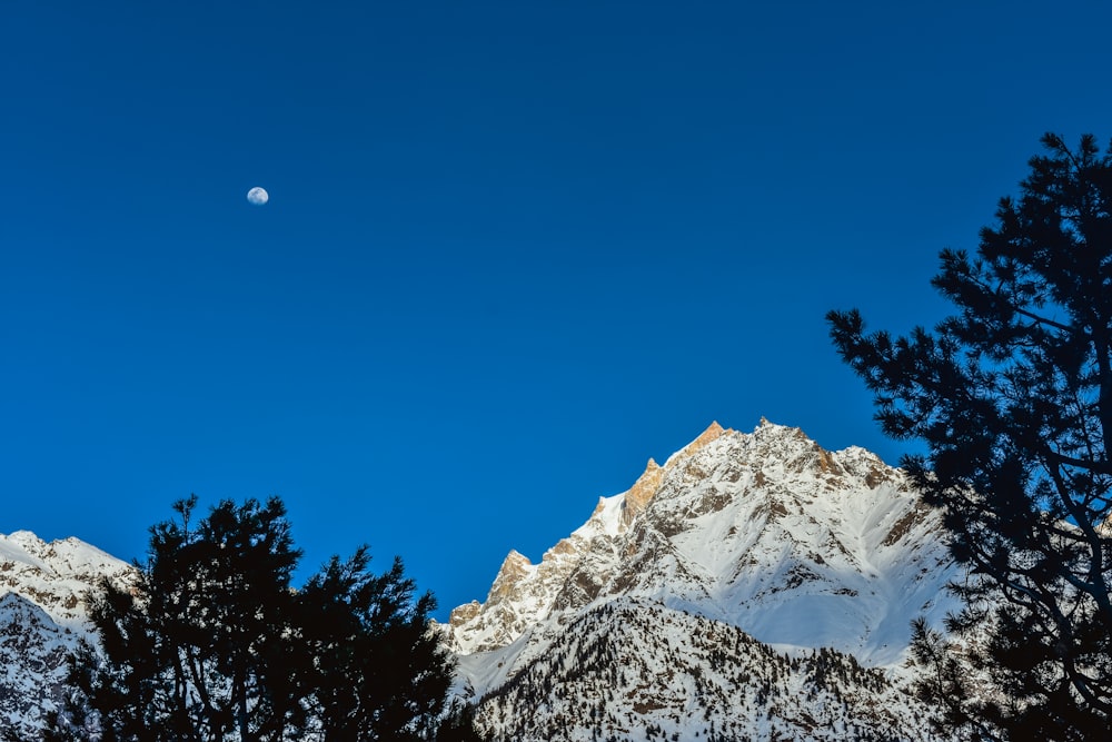 montagna coperta di neve accanto agli alberi verdi durante il giorno