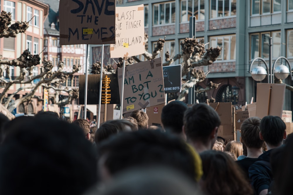 people rallies during daytime