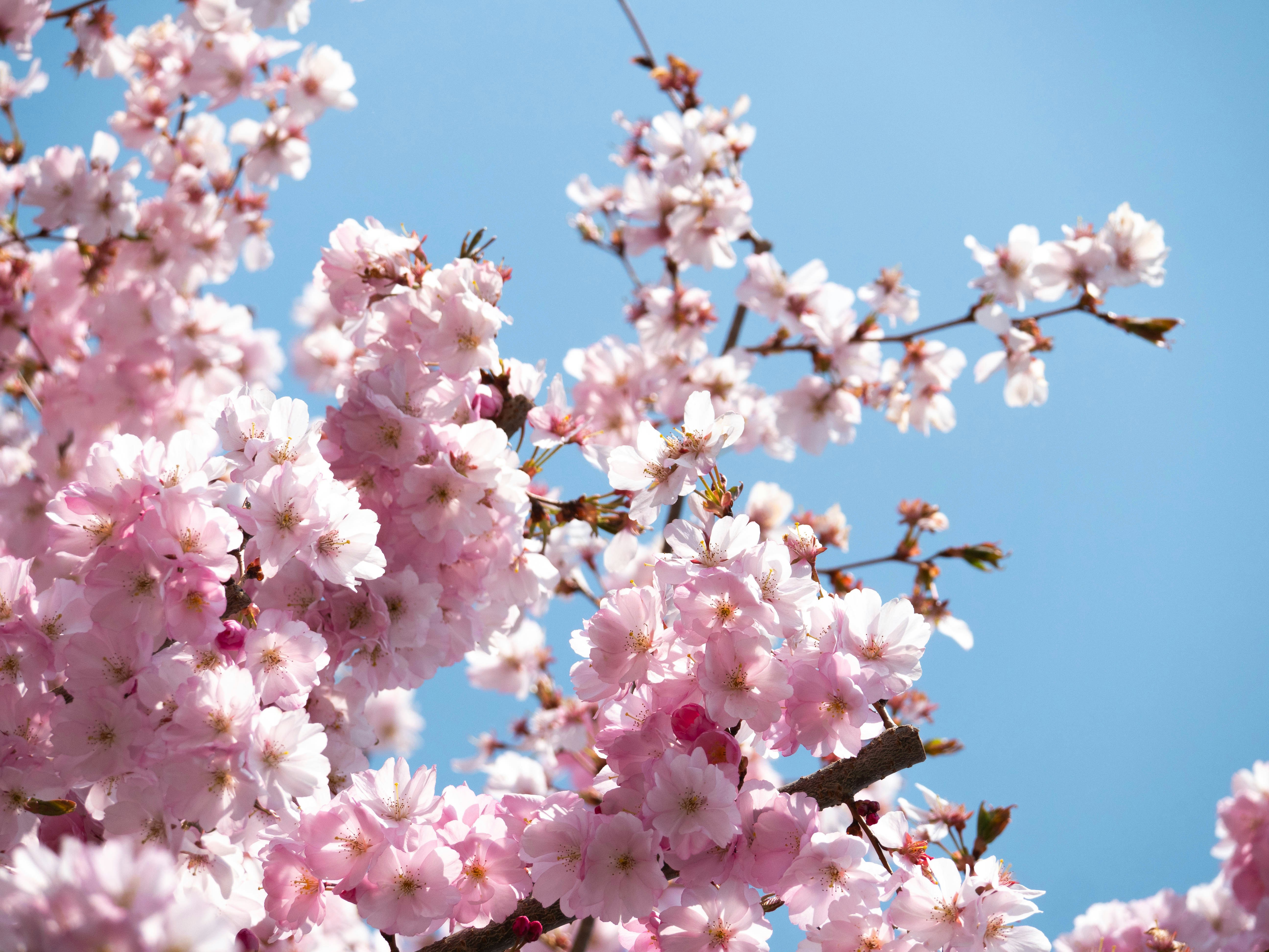 Photo by verstappen_photography