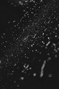 a black and white photo of rain drops