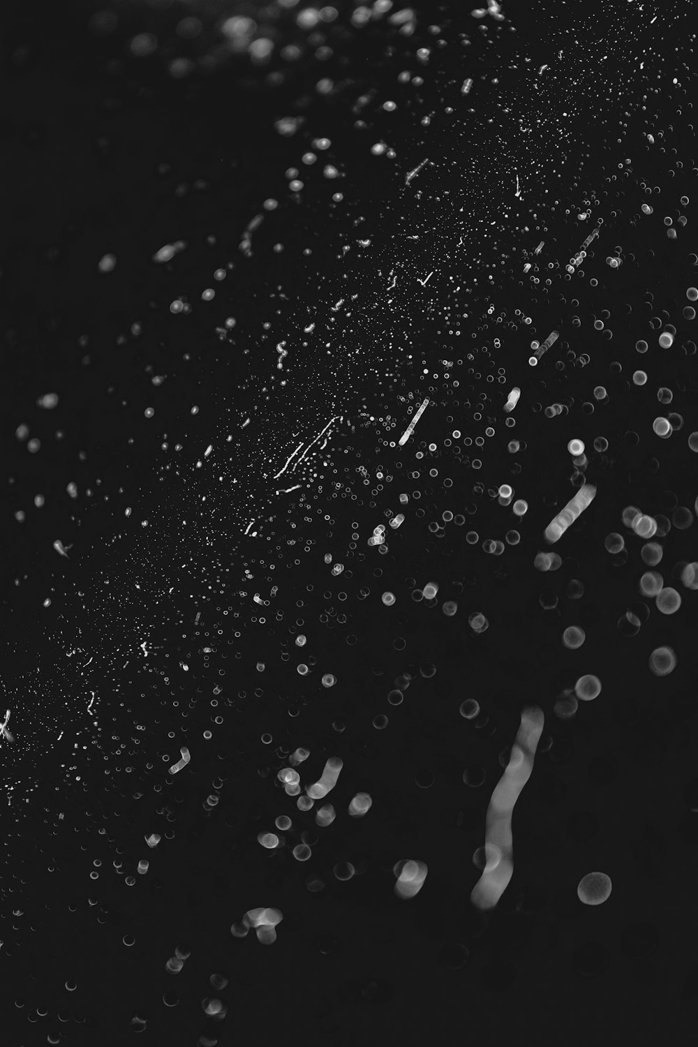 a black and white photo of rain drops