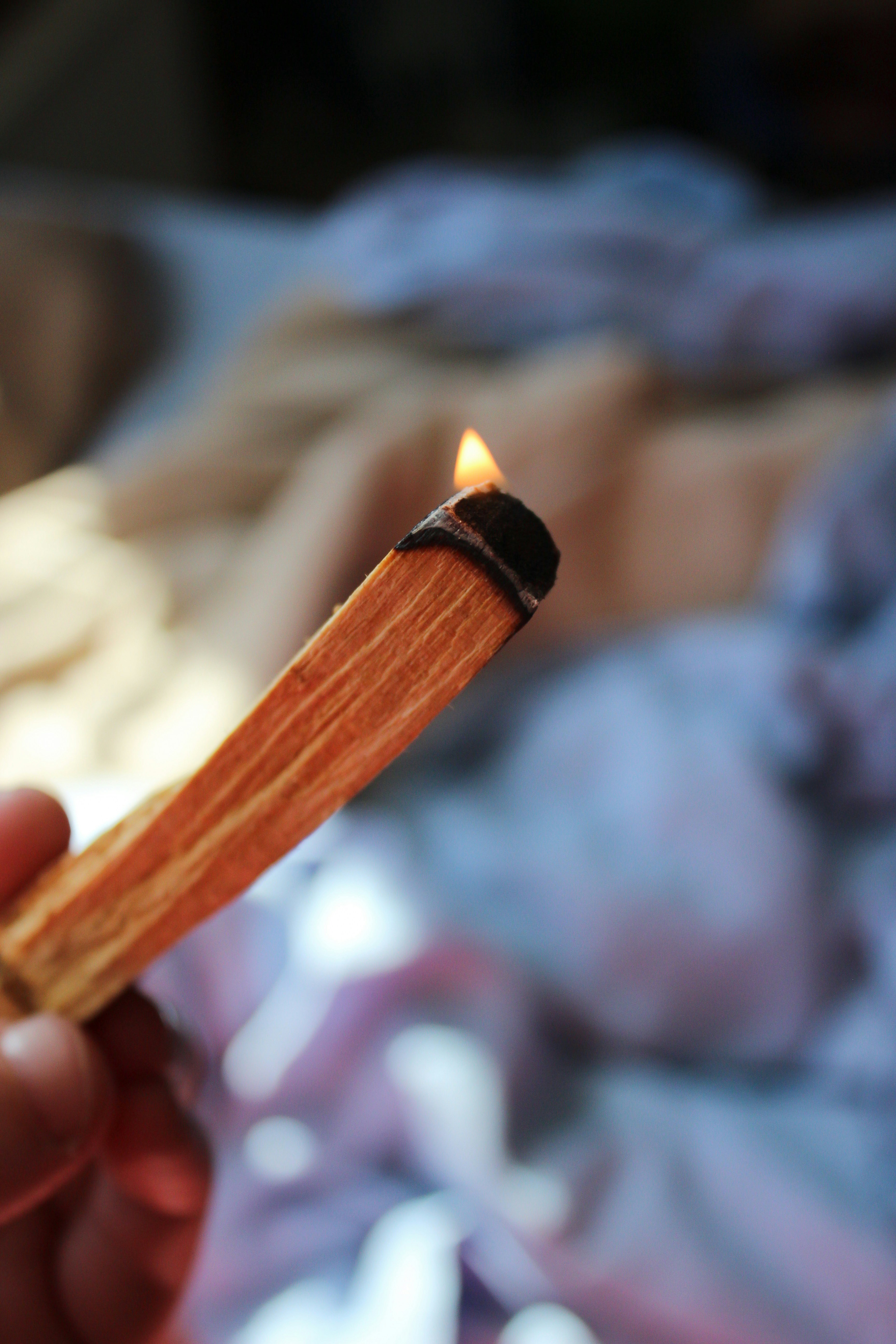 photo 1554832186 b69a387c3883?ixlib=rb 4.0