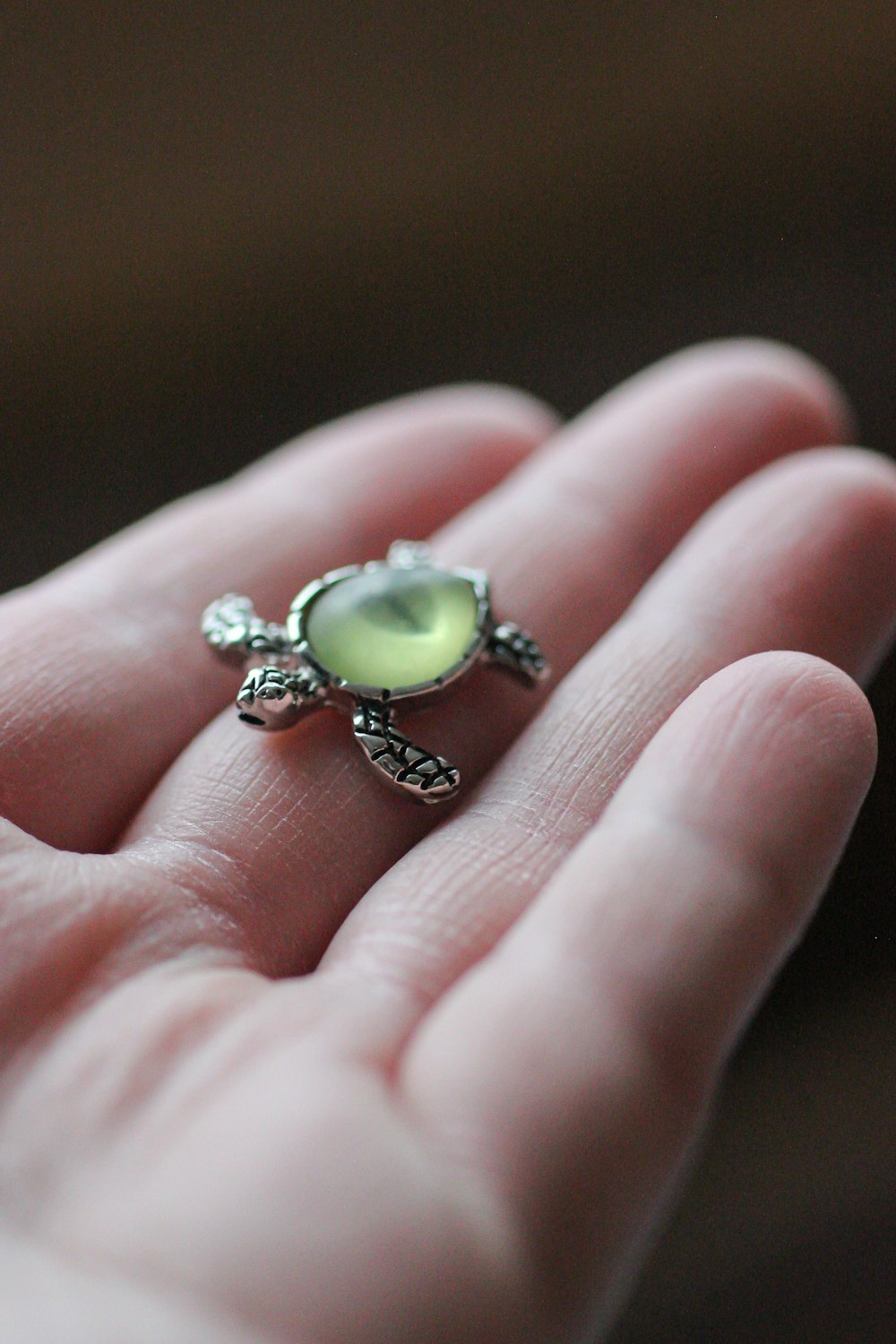 gold-colored turtle ring