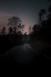 A dark, foggy forest path with twisted trees silhouetted against a moonlit sky, evoking an eerie and mysterious atmosphere.