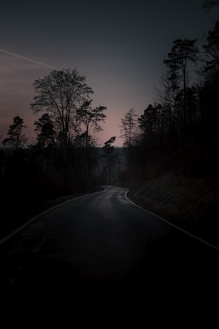 A winding road through a dark forest with silhouetted trees against a dimly lit sky, creating an eerie and mysterious atmosphere.