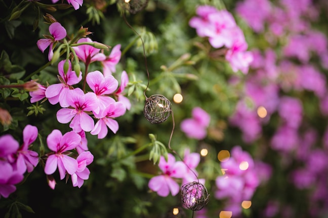A floral mandap adorned with soft pink and white blooms under warm lighting.