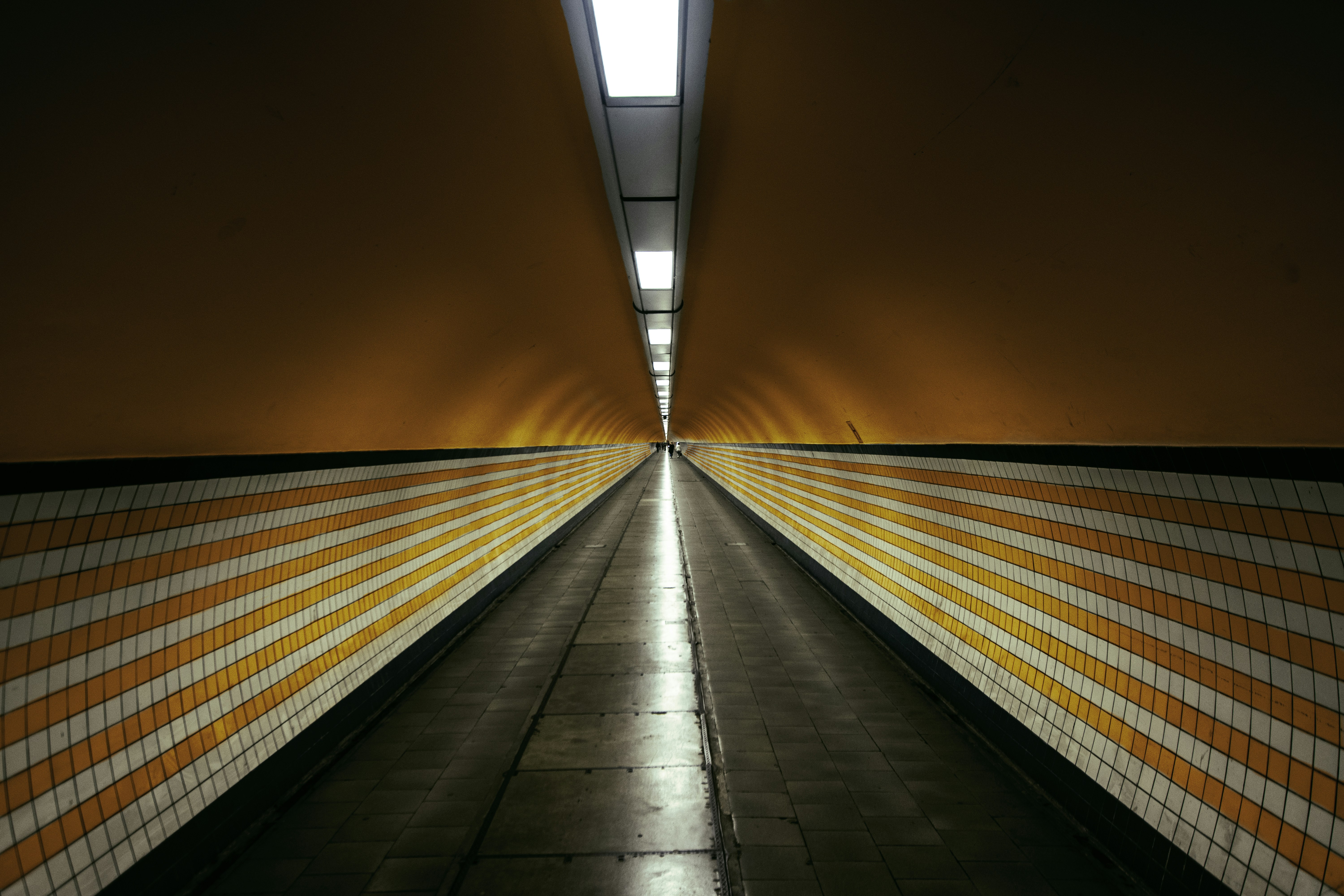 Photo by redermarius