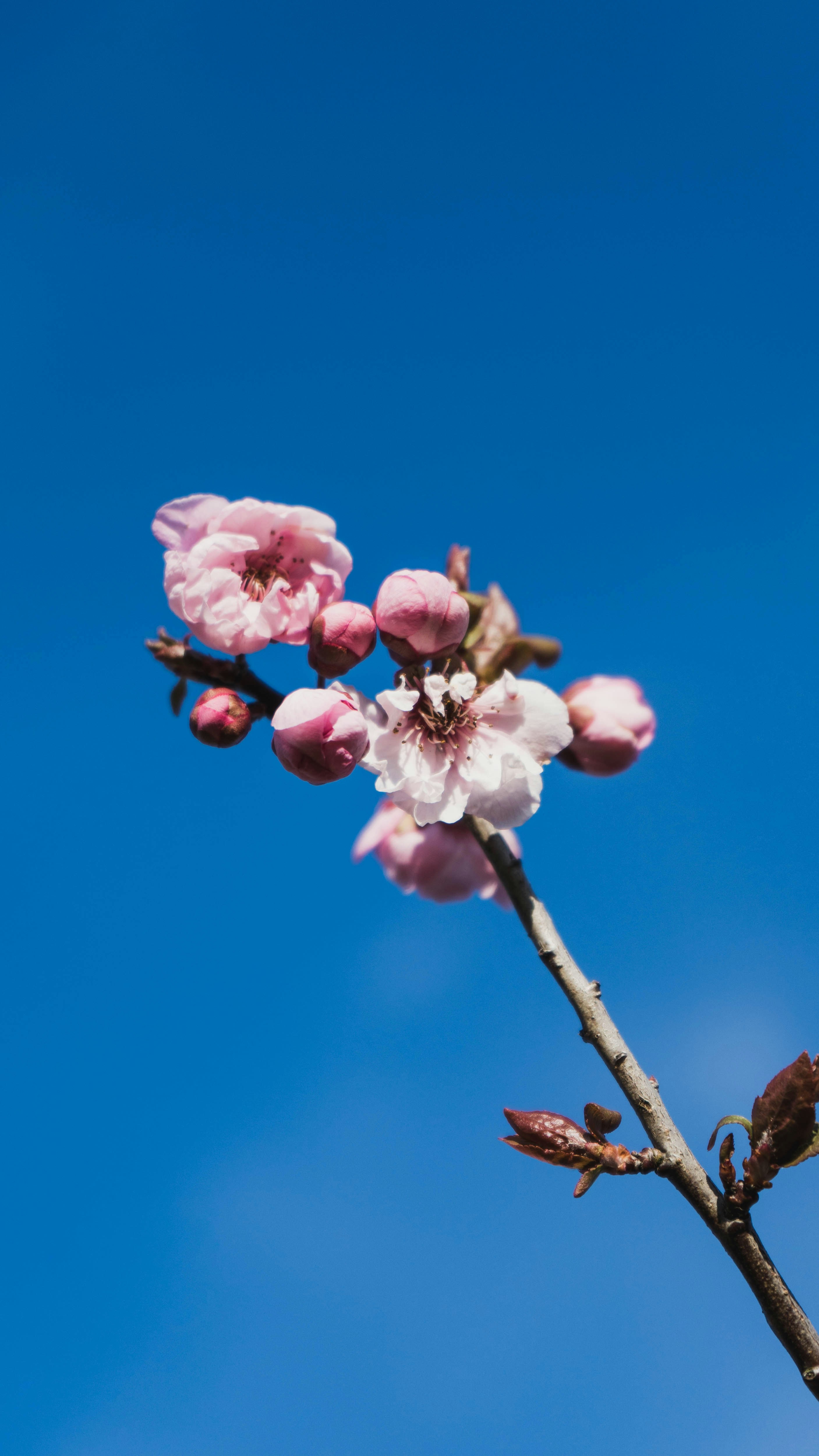 Photo by virussinside