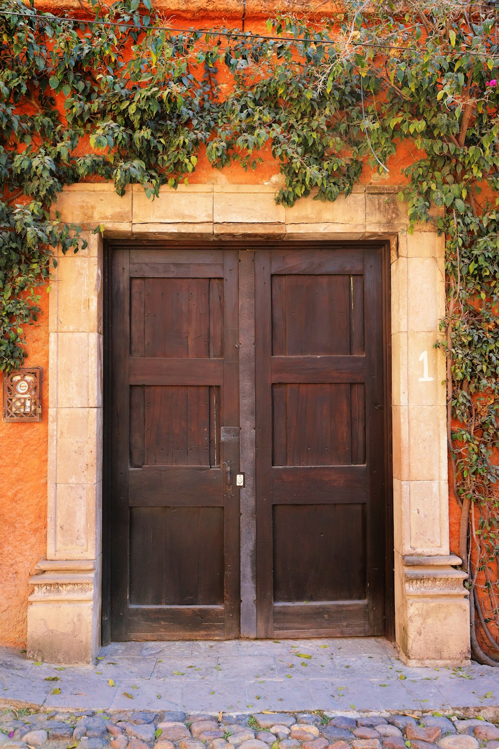 closed brown wooden door