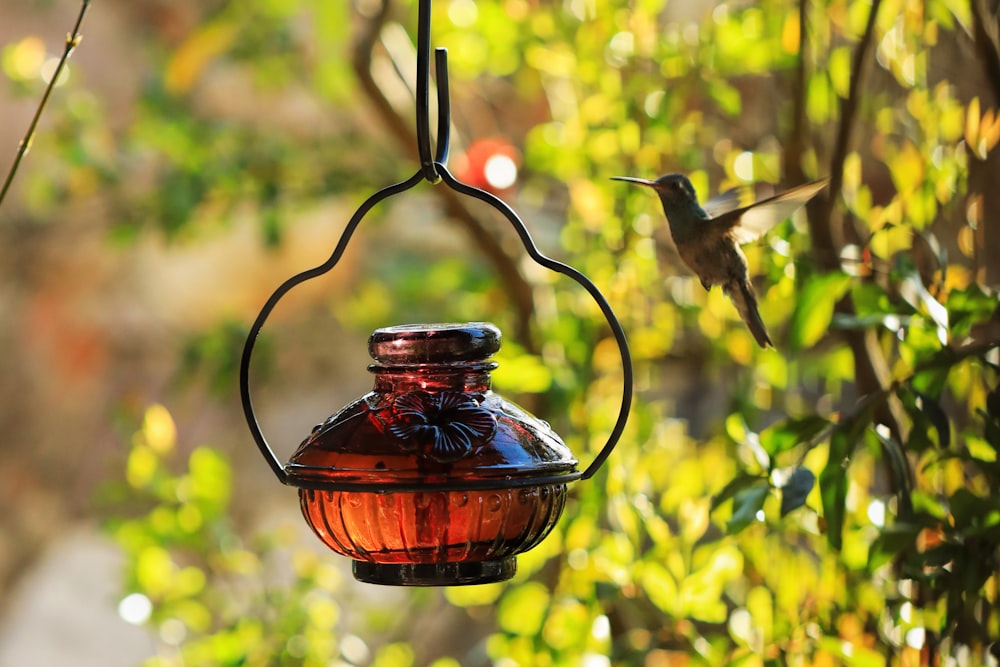 selective focus photography of lantern