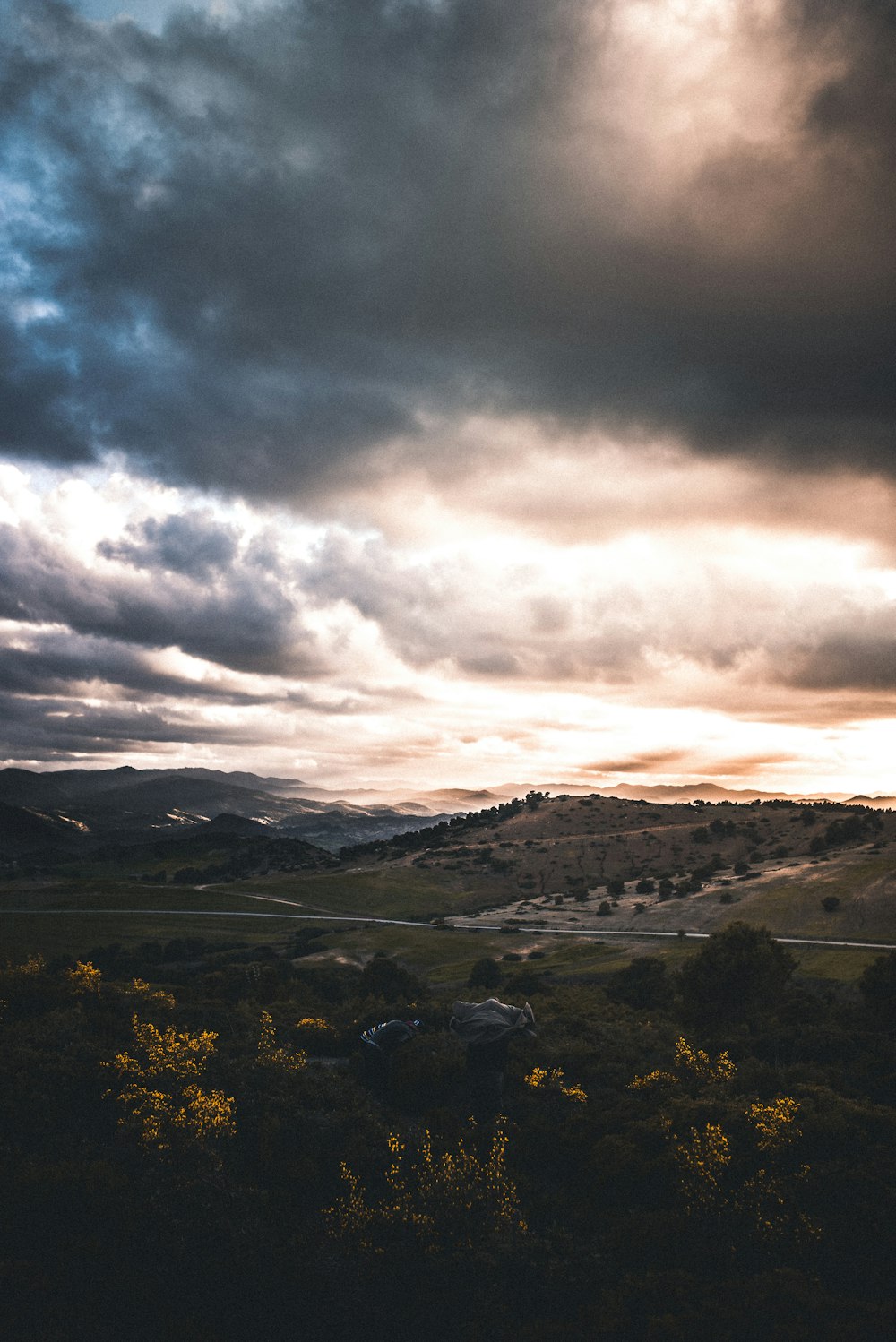 aerial photography of trees under cloudy sky