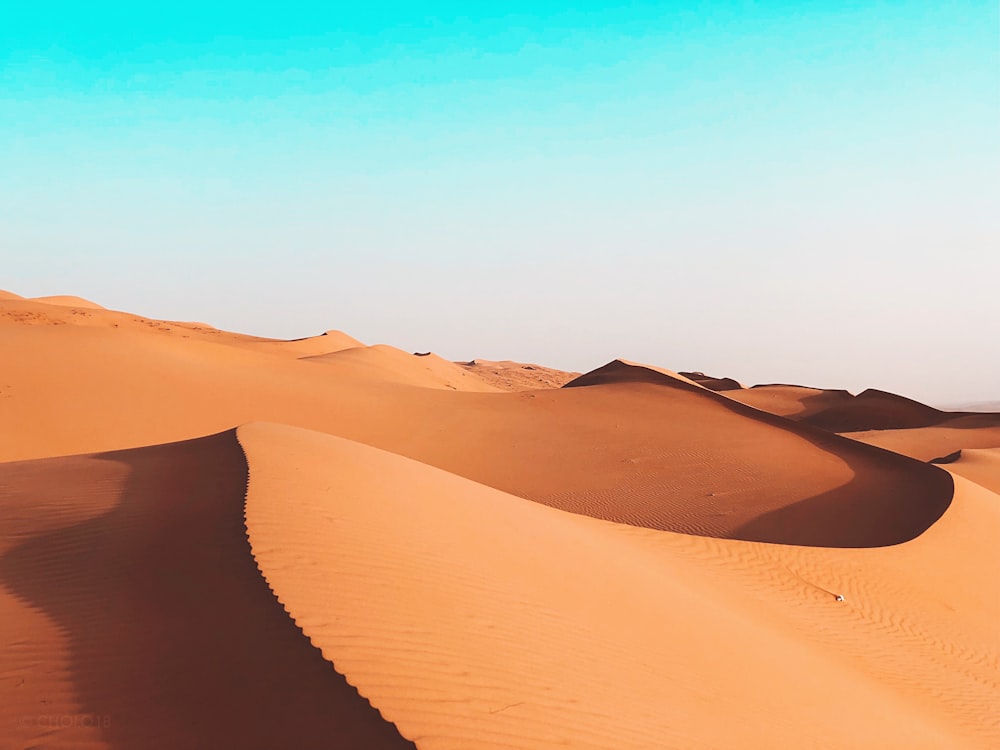 désert de plaine pendant la journée
