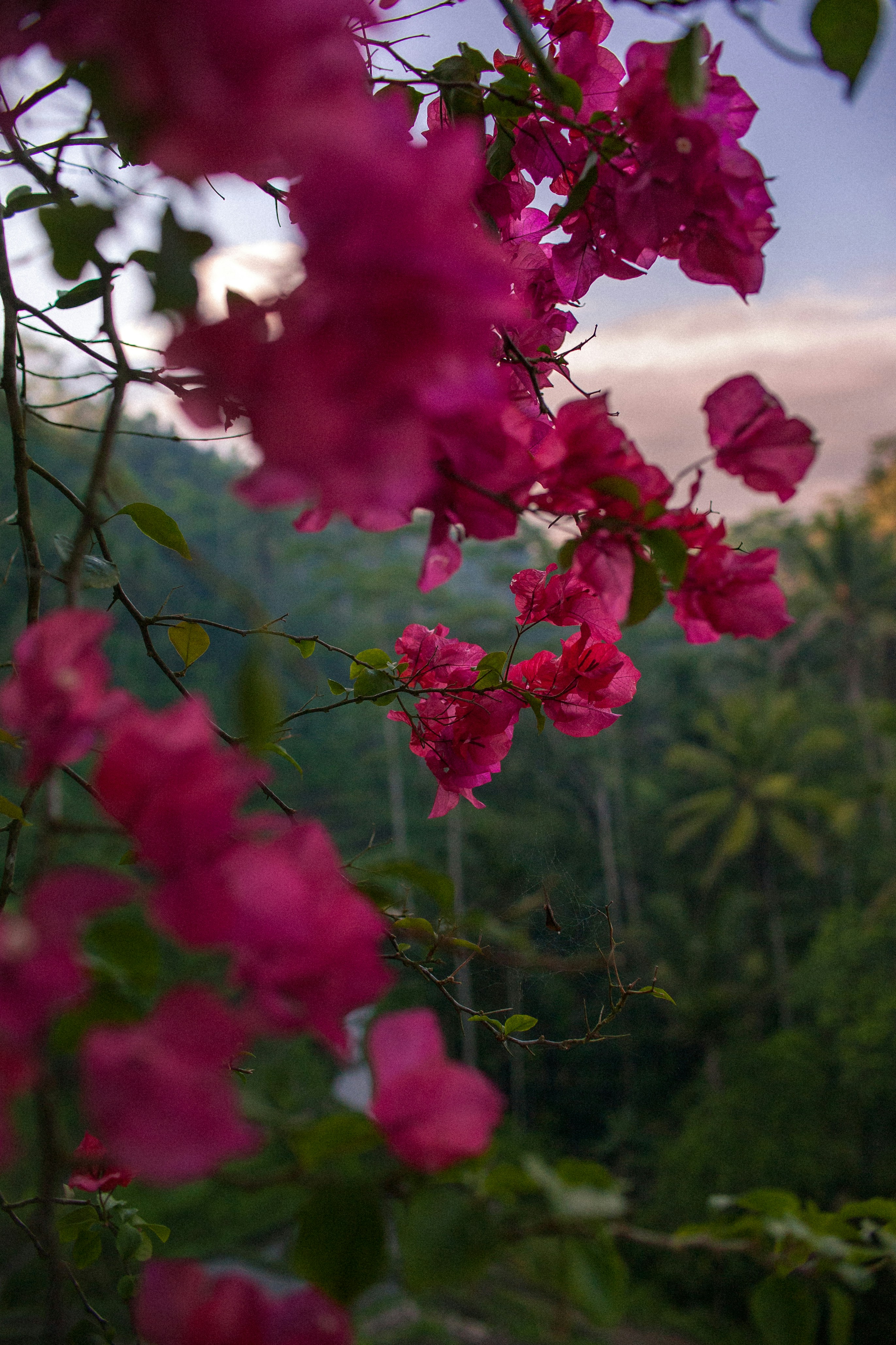 Photo by devonhwilson