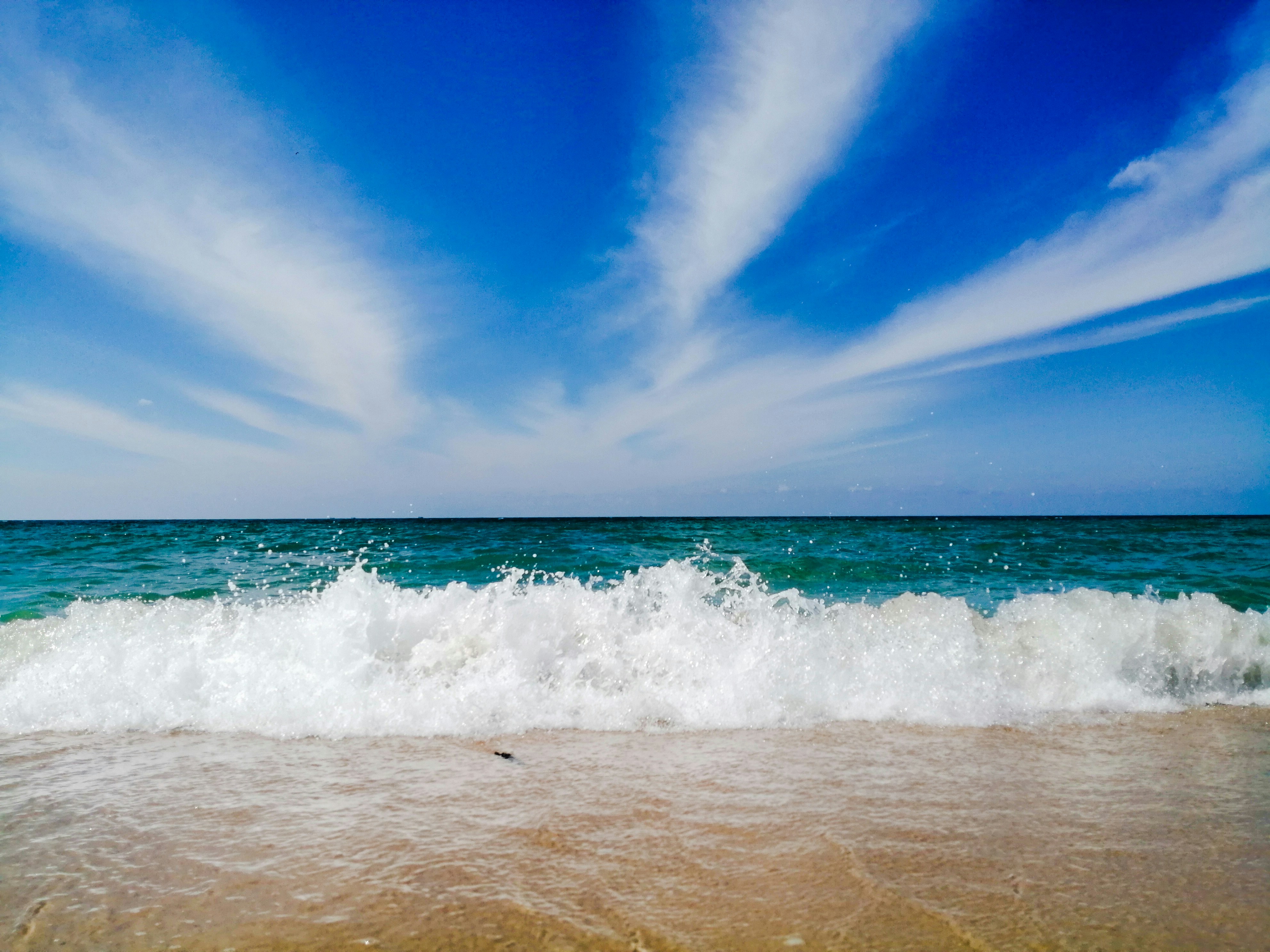 Photo by mahmoud_8009