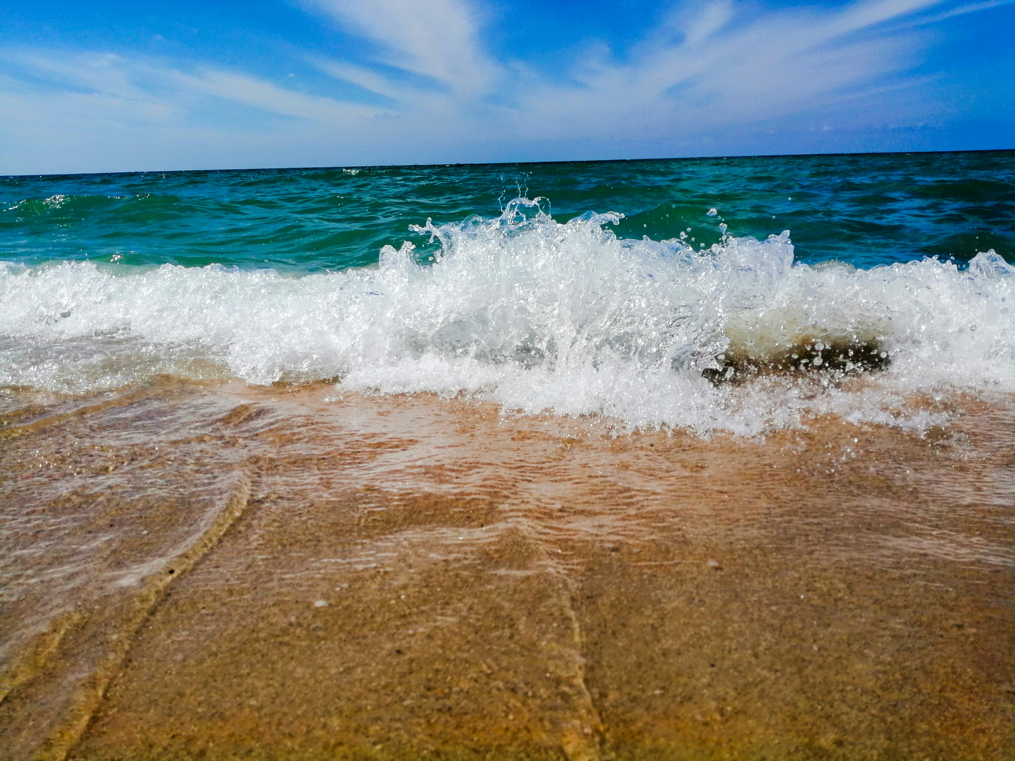 Photo by mahmoud_8009