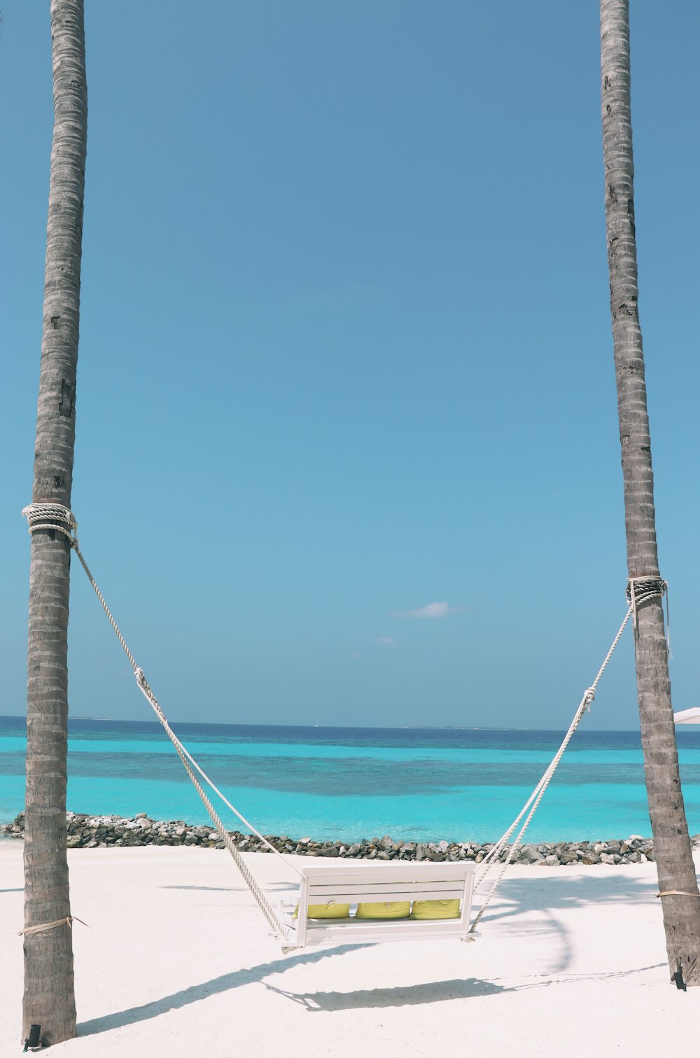 hammock between coconut trees on the beach