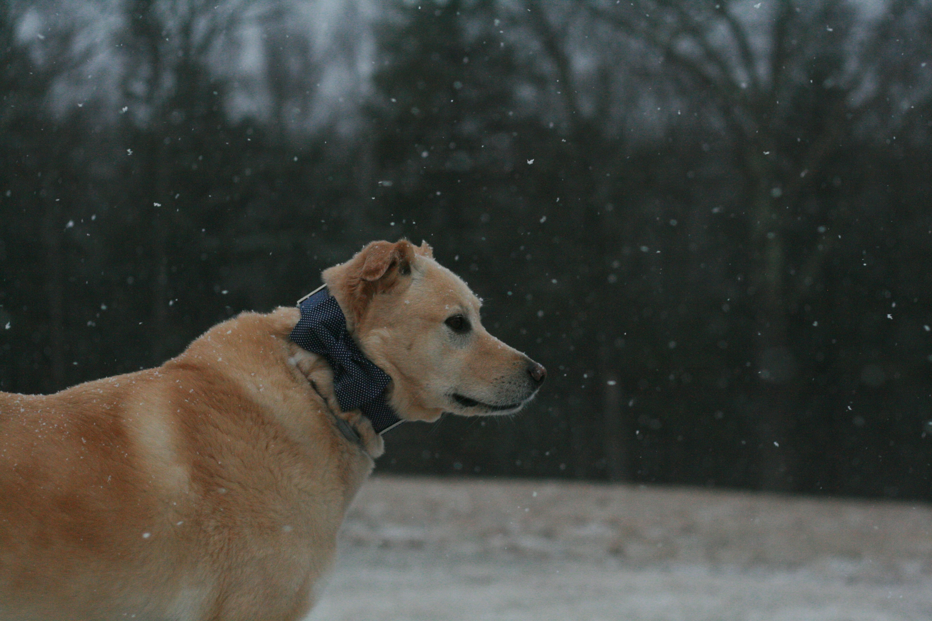 Photo by madeline11
