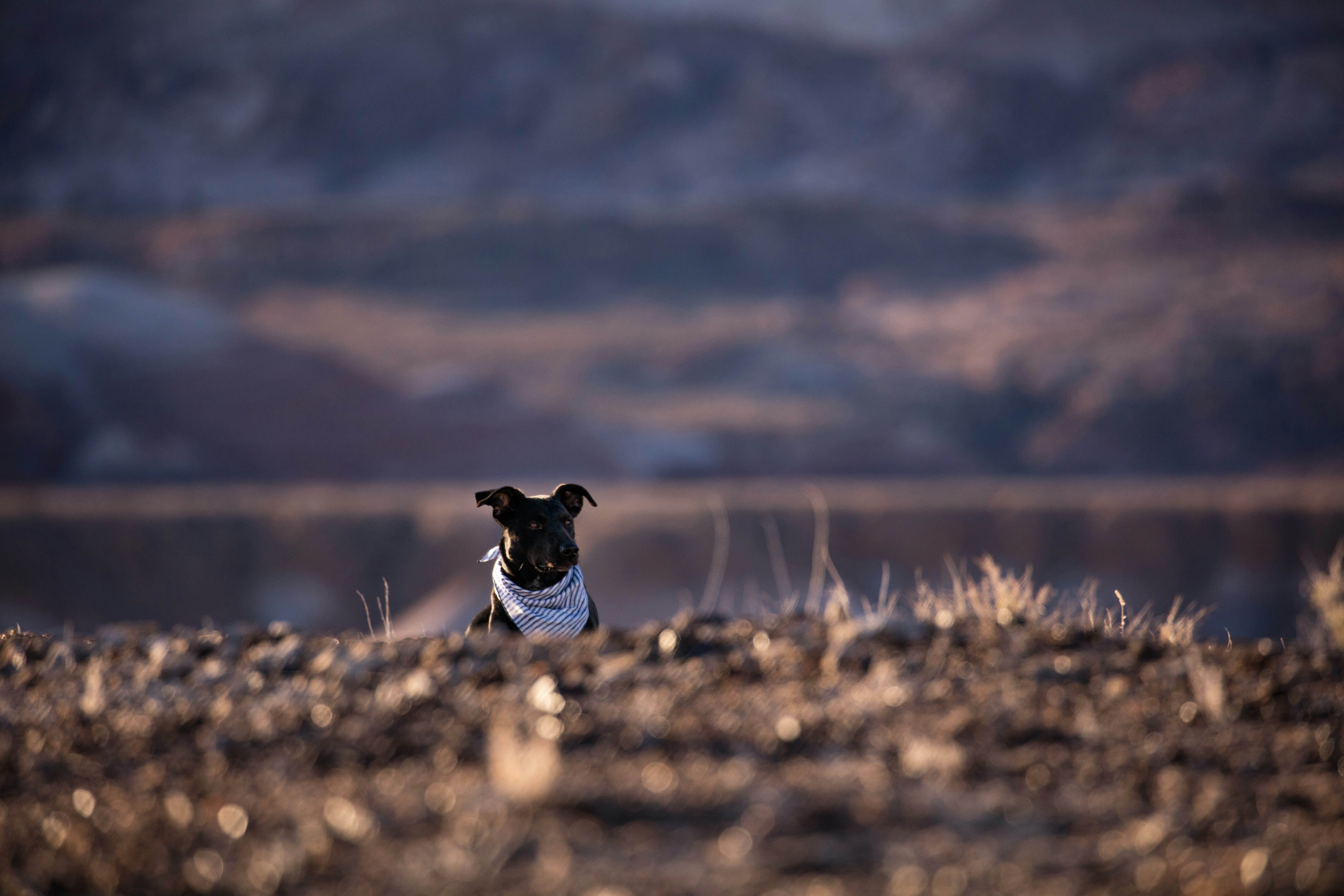 Photo by worldsbetweenlines