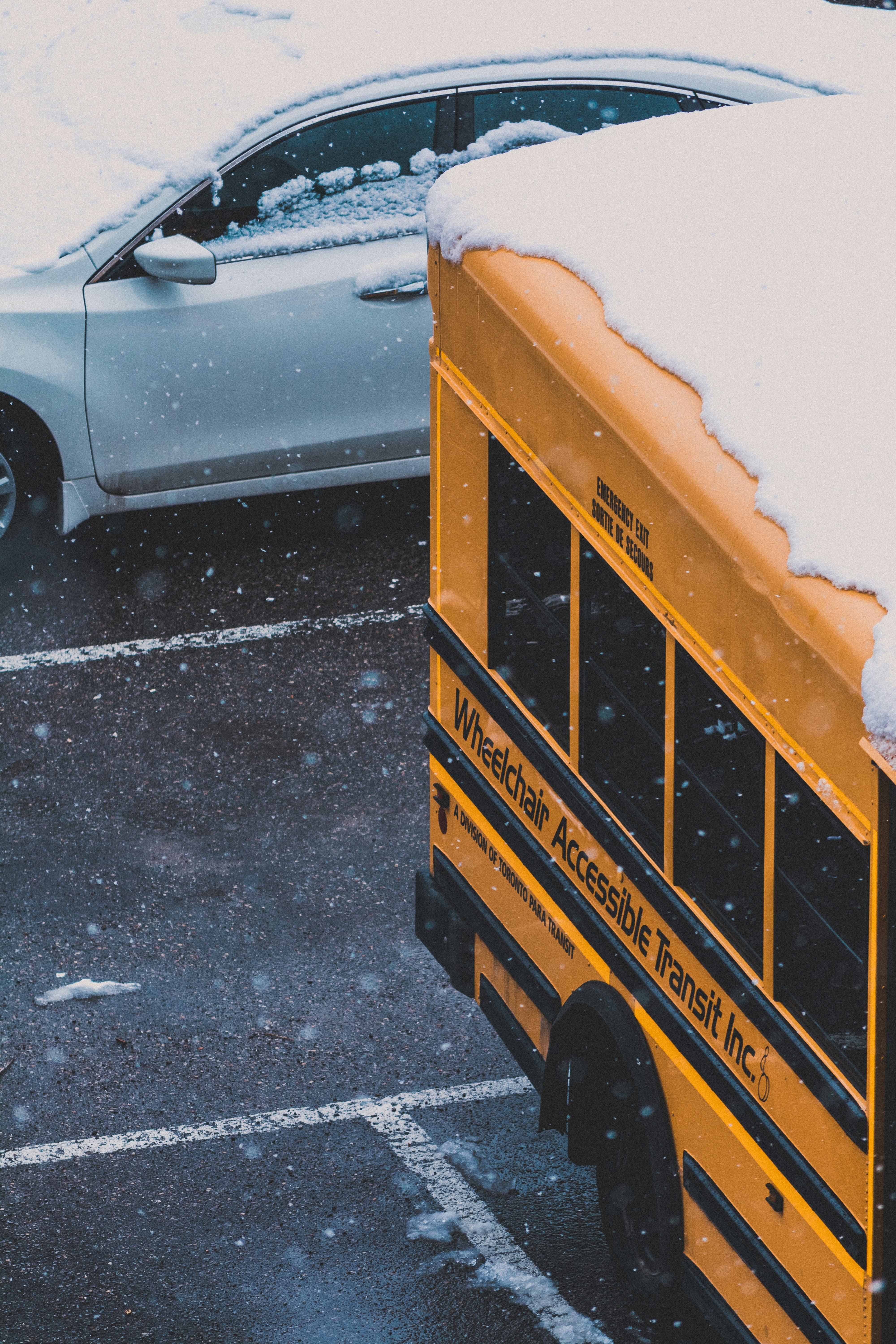 Photo by gelaliangan