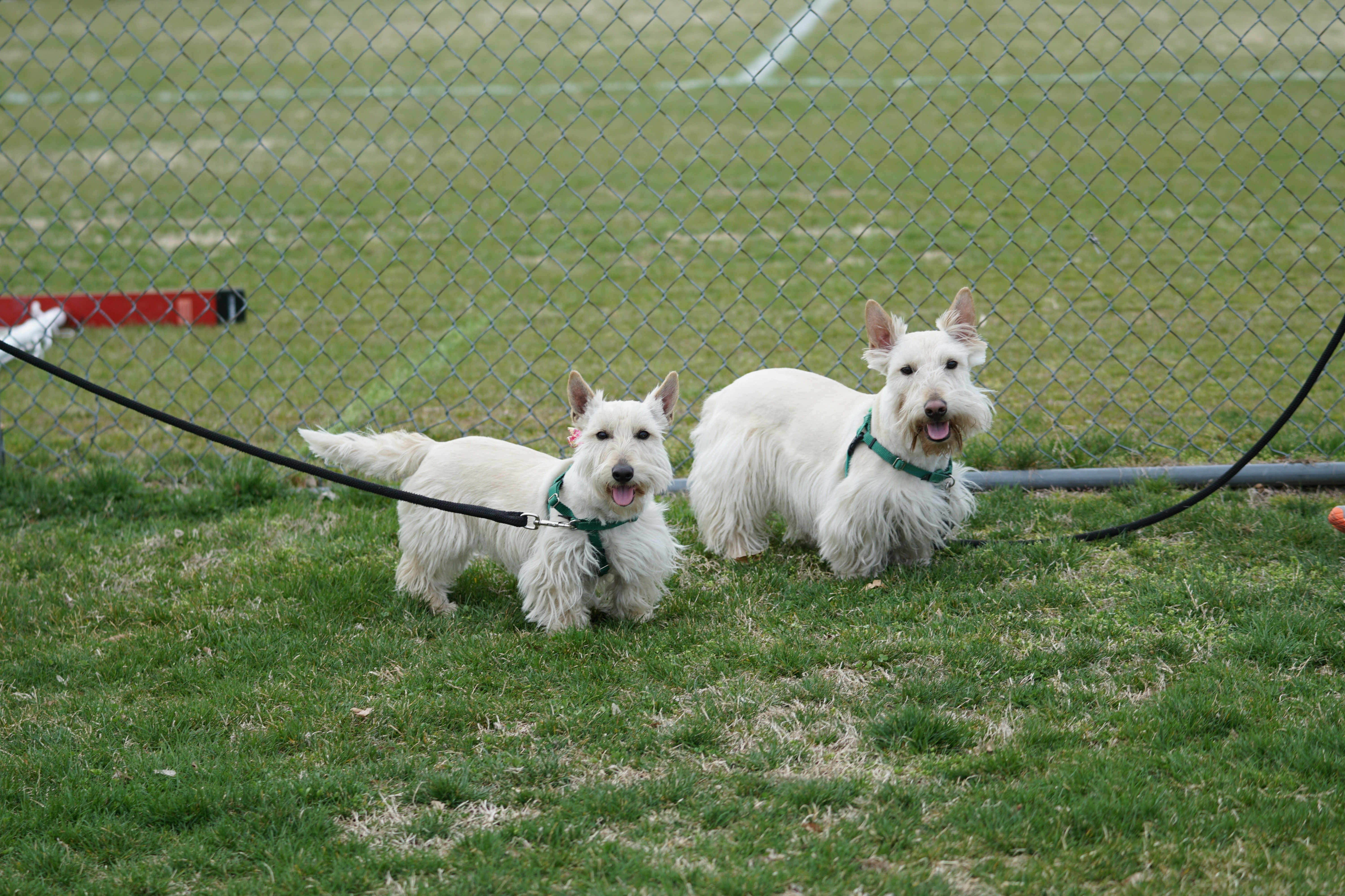 Photo by jeffreyflin