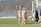 A group of female soccer players is gathered near a goalpost on a grassy field. They are wearing beige uniforms with the letter 'N' on the front. Two of the players are waving happily. A few players are holding cleats in their hands. The background includes a soccer net and a partly blurred scenic view with trees.