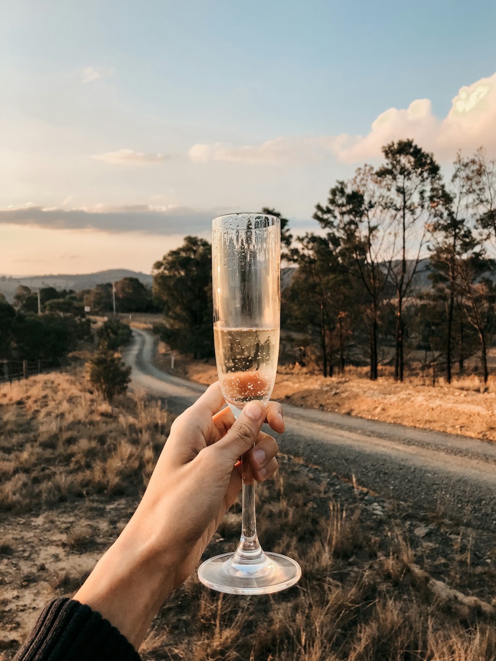 clear long-stemmed wine glass